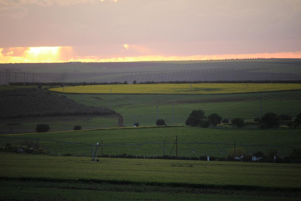 Monte Da Morena Agro-Turismo Серпа Екстериор снимка