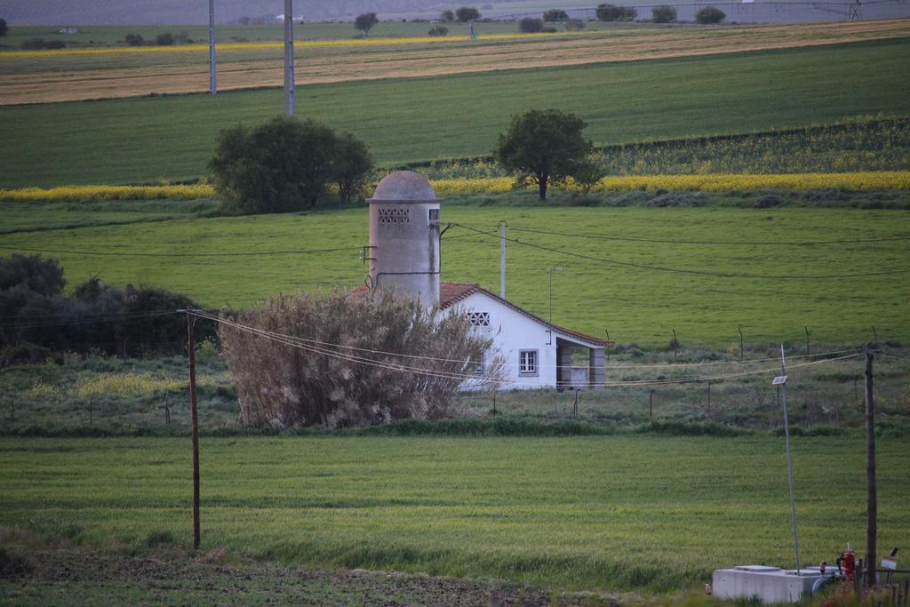 Monte Da Morena Agro-Turismo Серпа Екстериор снимка