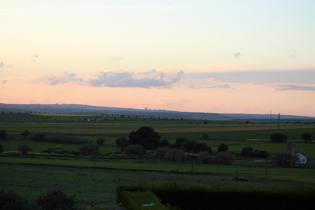 Monte Da Morena Agro-Turismo Серпа Екстериор снимка